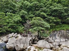 -黄山翡翠谷景区