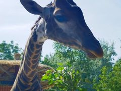 -水上乐园·欢乐世界