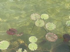 -山东省千佛山医院