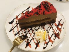-飞行喵MR PILOT|猫舍·猫咖(静安大融城店)