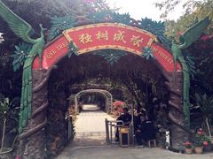 -瑞丽独树成林风景区