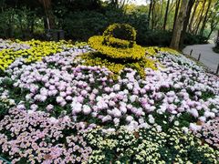 -共青国家森林公园-售票处