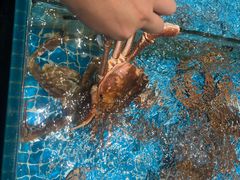 -田园居·佳宴(桑田路店)