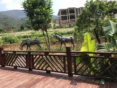 -泉州海丝野生动物世界