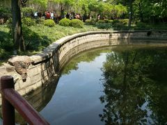 -嘉定紫藤园