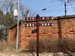 -云岗森林公园