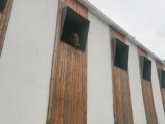 -枫露马术学院(藏书校区)
