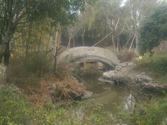 android_upload_pic-朱家角课植园