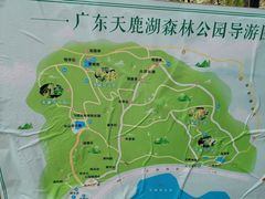 -天鹿湖森林公园
