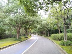 -上海吴淞炮台湾国家湿地公园