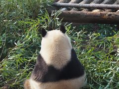-杭州动物园