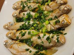 -魚當家