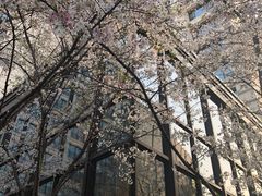 -杭州城中香格里拉大酒店