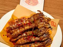 -波螺油子青岛本帮菜(银座店)