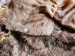 -重庆风光老灶火锅城(同德广场店)