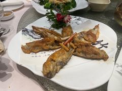 -北海渔村酒楼·粤菜海鲜点心(新华店)