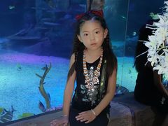 -沈阳海洋探索中心