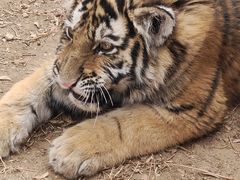 -鄂尔多斯野生动物园