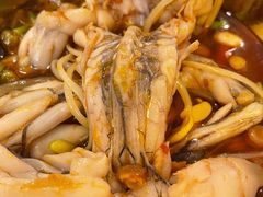 -鸿顺老铁锅美蛙鱼府(解放碑店)
