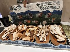 -芸山季·云南野生菌火锅(南翔印象城MEGA店)