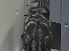 -赛可优数码广告印刷(解放南路店)