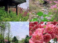 -国家植物园
