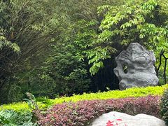 -深圳国际园林花卉博览园