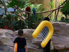 -杭州开元森泊度假乐园