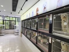 -翊宠yipet猫狗购宠庄园犬舍•猫舍