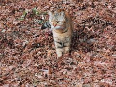 -相门城墙文化休闲景区