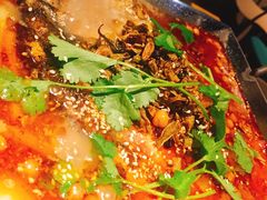 -新楚记烧烤·酒场·夺命肥肠(车公庙店)