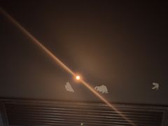 -番茄按摩·影院足道·柔足SPA