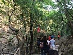-北京上方山国家森林公园
