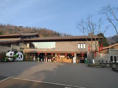 -都江堰中华大熊猫苑