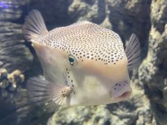 -福州罗源湾海洋世界旅游区