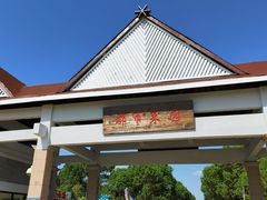 -上海都市菜园