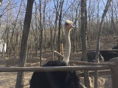 -西安秦岭野生动物园