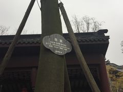 -龙潭水乡