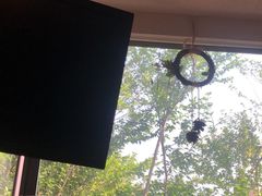 -常熟玉蕙口腔医院