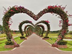 -迪茵湖田家舍生态农场