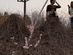 -南翠屏公园