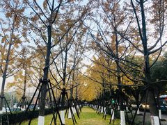 -Tenker Club弹刻极限主题公园 · 蹦床 · 团建 · 生日派对(大关店)