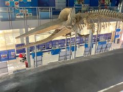 -上海海洋大学鱼文化博物馆(军工路校区)