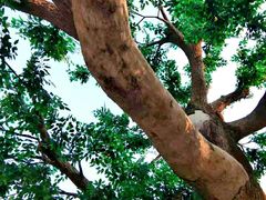 -十渡蹦极俱乐部