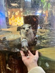 -Zoolung Zoolung动物主题公园(海信广场店)