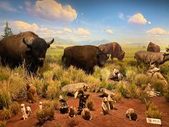 -陕西自然博物馆