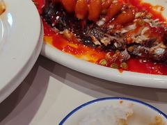 -新侨小馆(东直门北小街店)
