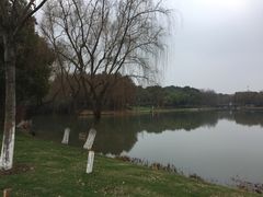 -尚贤河湿地