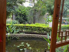 -山大王菌莊