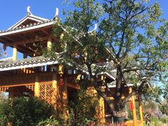 -武清南湖绿博园